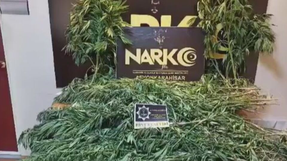 Mısır tarlasına uyuşturucu operasyonu