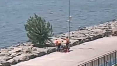 'Florya'da ağacı kim kesti' tartışması