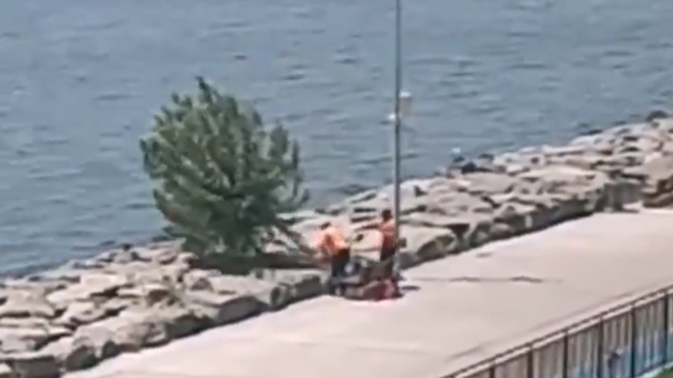 'Florya'da ağacı kim kesti' tartışması