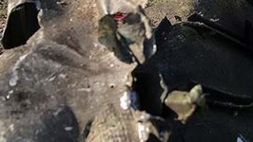 İran ve Ukrayna düşürülen uçağın tazminat görüşmelerine başlıyor