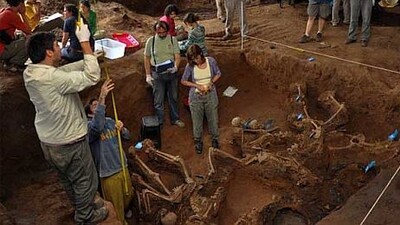 Antropoloji ve diğer bilim dallarıyla ilişkisi