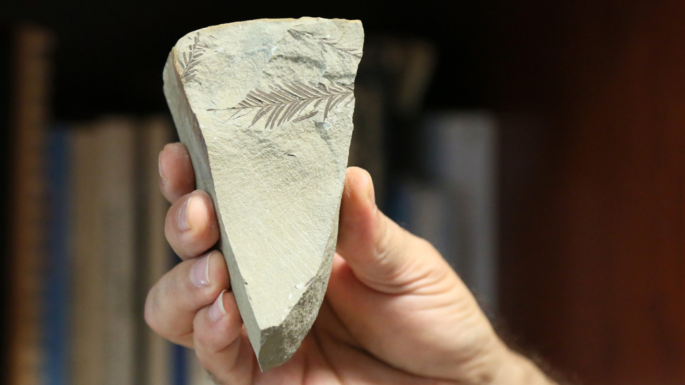 Saha çalışmalarında bulundu... 450 milyon yaşında!