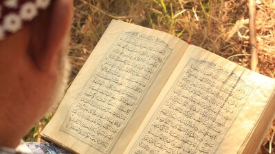 Terviye günü nedir?