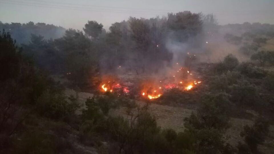 Manisa'da korkutan orman yangını