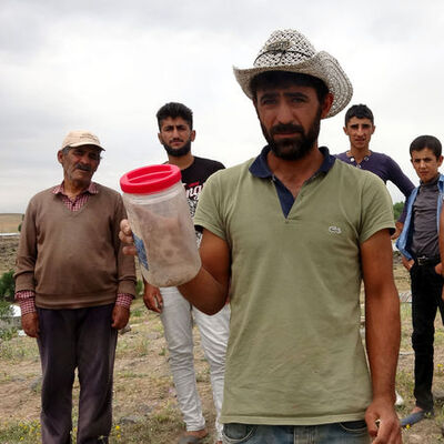 Mahalleye kâbus oldular! Her taşın altındalar