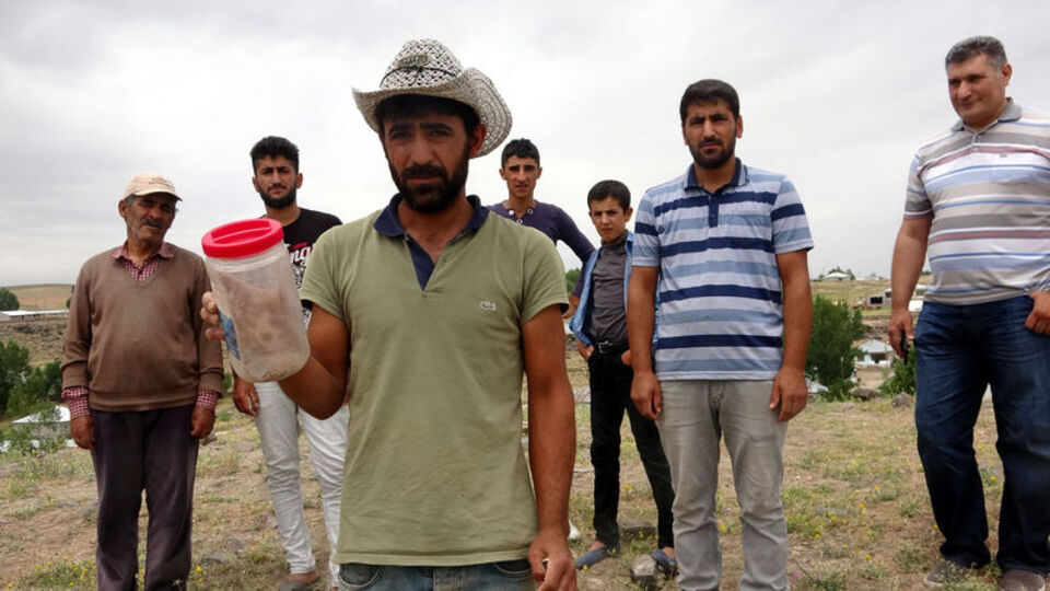 Mahalleye kâbus oldular! Her taşın altındalar