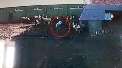 Öfkeli boğa dehşeti! Sahibini böyle öldürdü