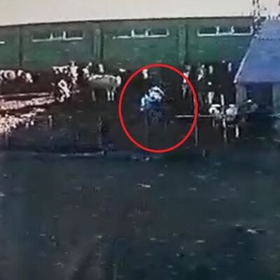 Öfkeli boğa dehşeti! Sahibini böyle öldürdü