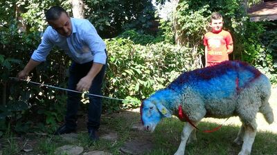 CİMER'den kurbanlık istedi, bakan devreye girdi