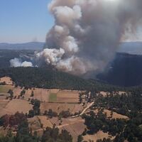 Çanakkale'de orman yangını!