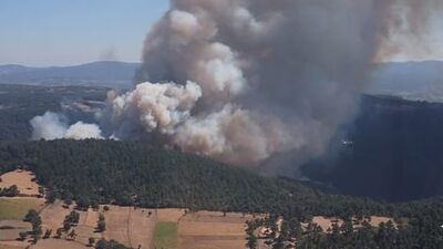 Çanakkale'de orman yangını!