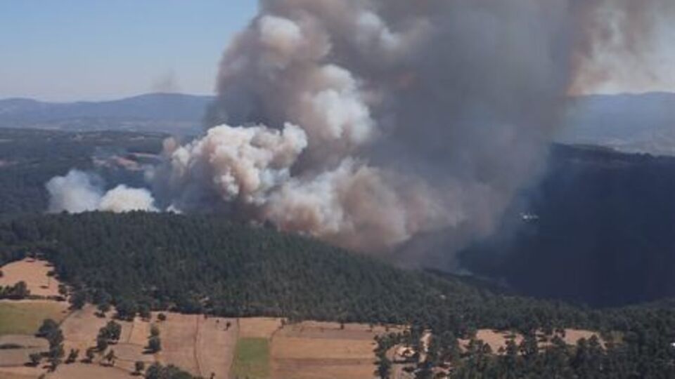 Çanakkale'de orman yangını!