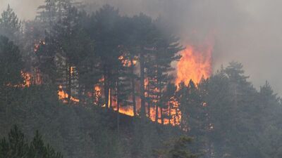 Konya'daki orman yangını kontrol altına alınamıyor