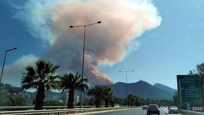 İzmir'de orman yangını!