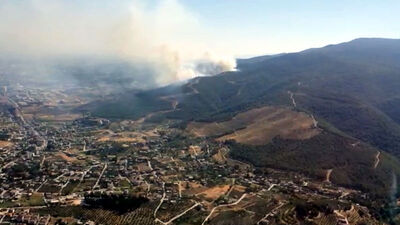 Hatay'da 4 farklı noktada orman yangını