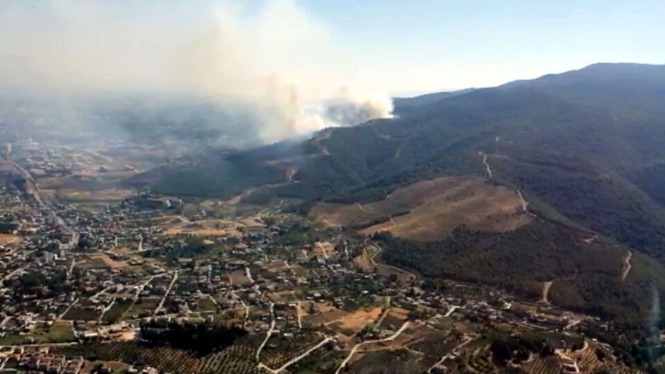 Hatay'da 4 farklı noktada orman yangını