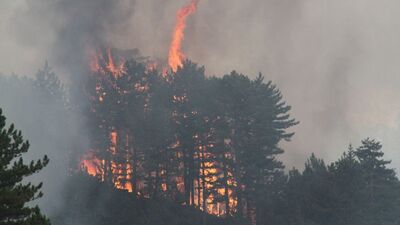 Dört bir yanımız yanıyor!
