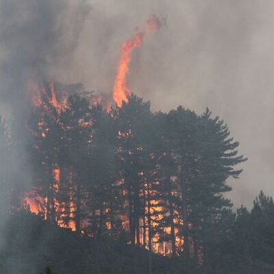 Dört bir yanımız yanıyor!