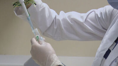 Türkiye'de ilk kez koronavirüs aşısı insanlarda denenmeye başlayacak