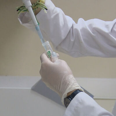 Türkiye'de ilk kez koronavirüs aşısı insanlarda denenmeye başlayacak