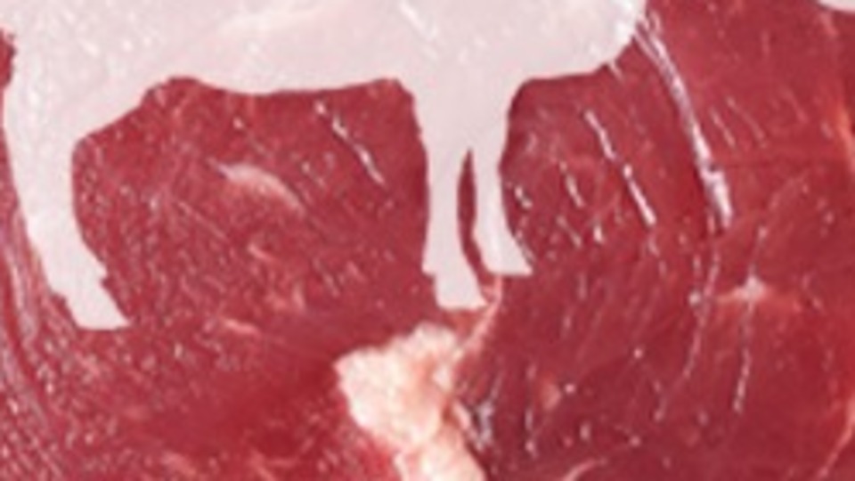 Kurban etinden zarar görmeyin!