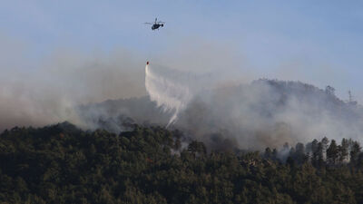 Aydın'da çıkan orman yangını Muğla'ya ulaştı!