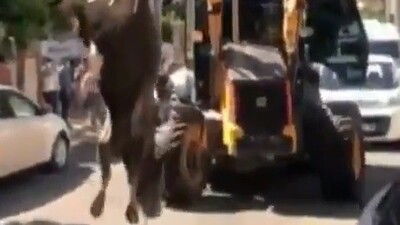 Şoke eden kesime para cezası!