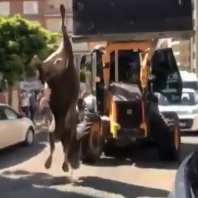 Şoke eden kesime para cezası!