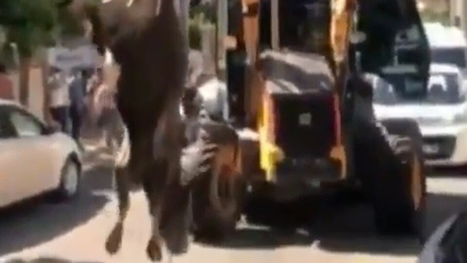 Şoke eden kesime para cezası!