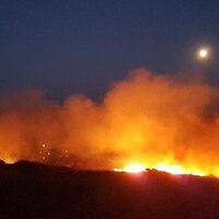 Bozcaada'da orman yangını