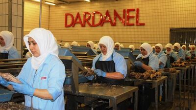 Dardanel'de kapalı devre çalışma