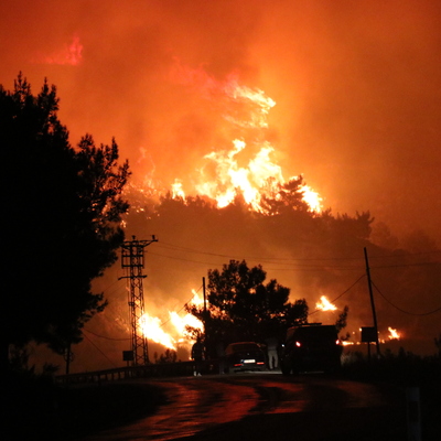 İzmir'deki orman yangınında flaş detay!