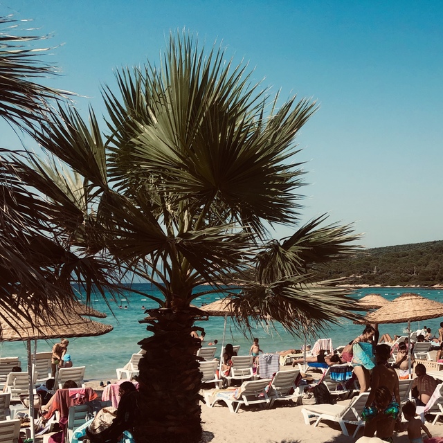 Çeşme Alaçatı'da 6 eğlence kulübü kapatıldı
