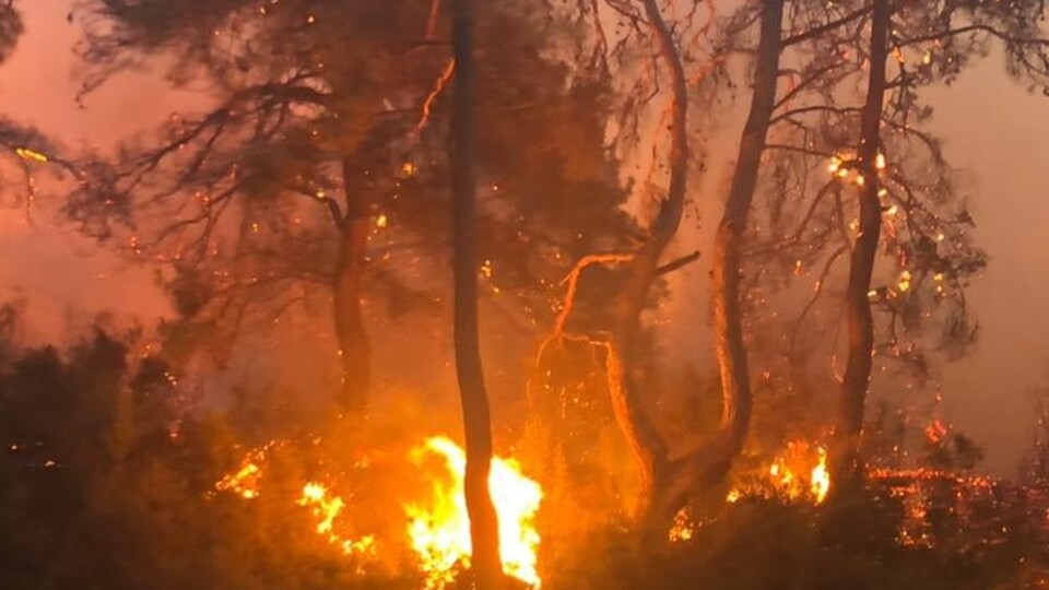 Manisa'daki orman yangını tek noktada sürüyor