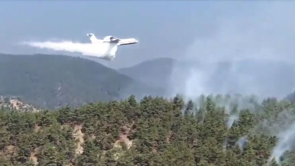 Sinop'taki yangın 'ateş kuşu' ile kontrol altında