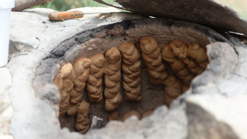 Mezopotamya'nın en eski buğday tohumundan ekmek