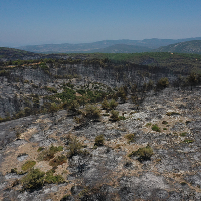 İzmir'deki yangından geriye bu görüntü kaldı!