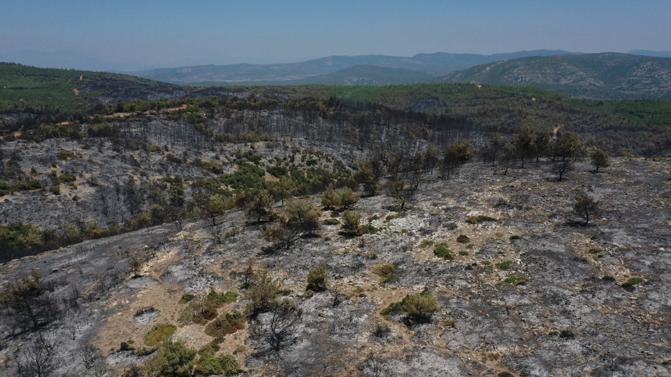 İzmir'deki yangından geriye bu görüntü kaldı!