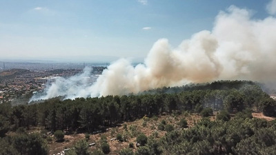 Aydos Ormanı'nda yangın! 1 gözaltı