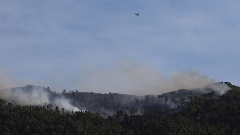 Aydın ve Muğla'yı etkileyen yangında 1 kişi tutuklandı