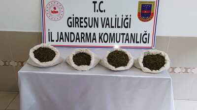 Giresun'da uyuşturucu operasyonu: 4 gözaltı