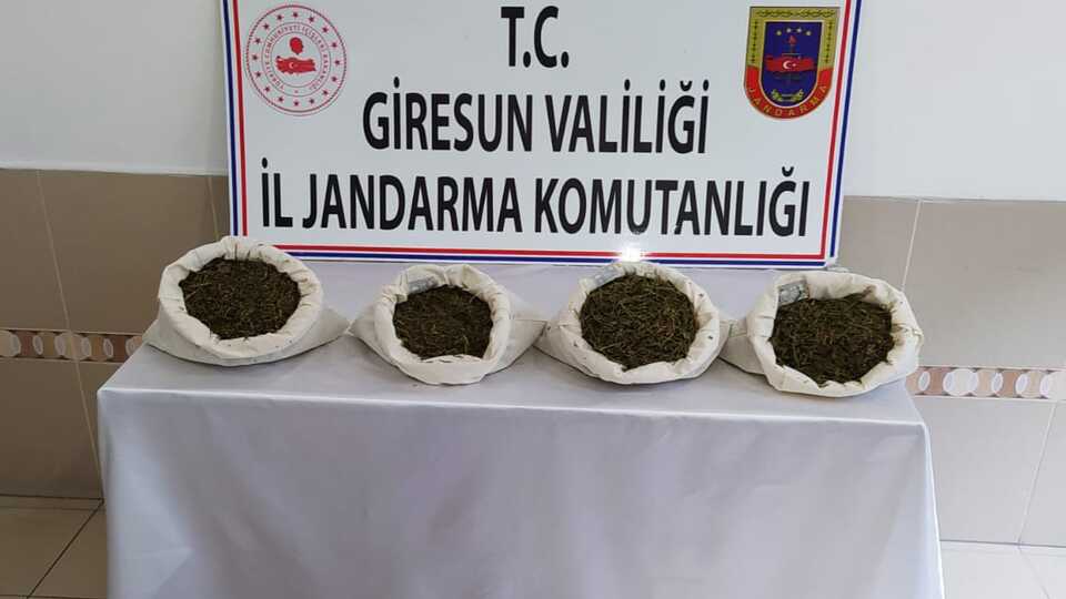 Giresun'da uyuşturucu operasyonu: 4 gözaltı