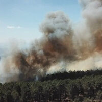 Aydos ormanındaki yangın ile ilgili yeni gelişme