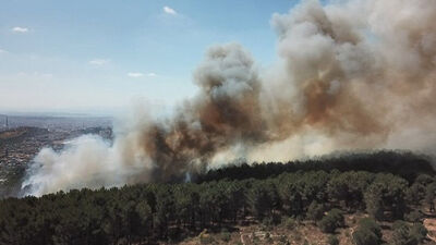 Aydos ormanındaki yangın ile ilgili yeni gelişme