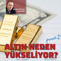 Altın fiyatlarını yükselten temel dinamik ne?