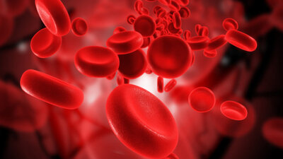 Kan grubuna göre karakter özellikleri