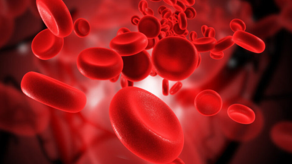 Kan grubuna göre karakter özellikleri