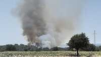 Çanakkale'de bir orman yangını daha!
