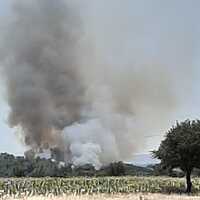 Çanakkale'de bir orman yangını daha!