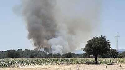 Çanakkale'de bir orman yangını daha!